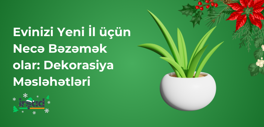 Dekabr Endirimləri: Ən Yaxşı Təklifləri Necə Tapmaq olar?
