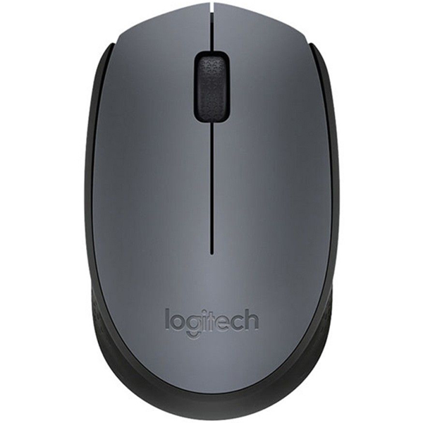 Logitech M170