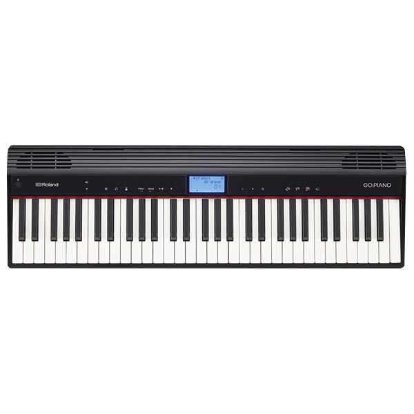 ROLAND GO-61P PIANO
