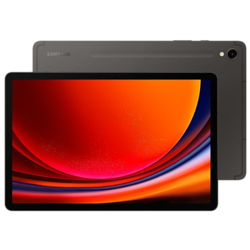 Samsung Galaxy Tab S9 5G 128 GB (SM-X716) Gray