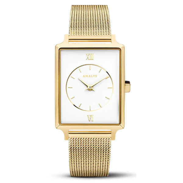 AMALYS AMW-031