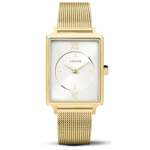 AMALYS AMW-131
