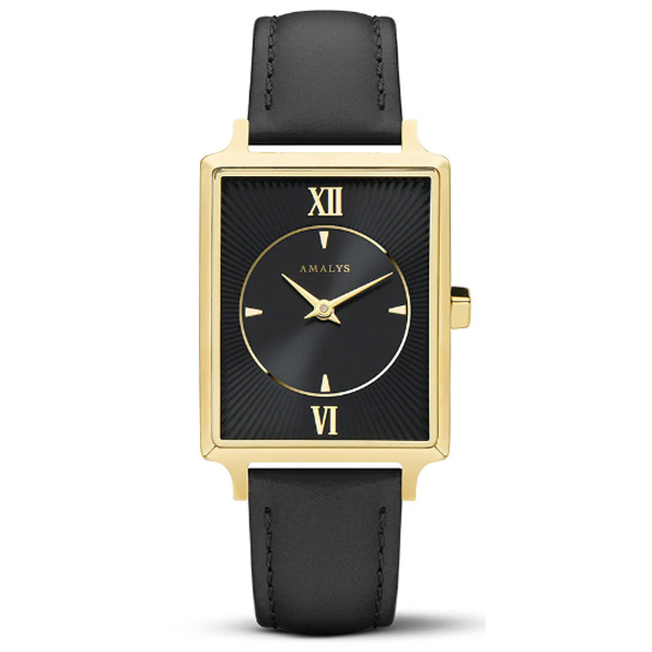 AMALYS AMW-133