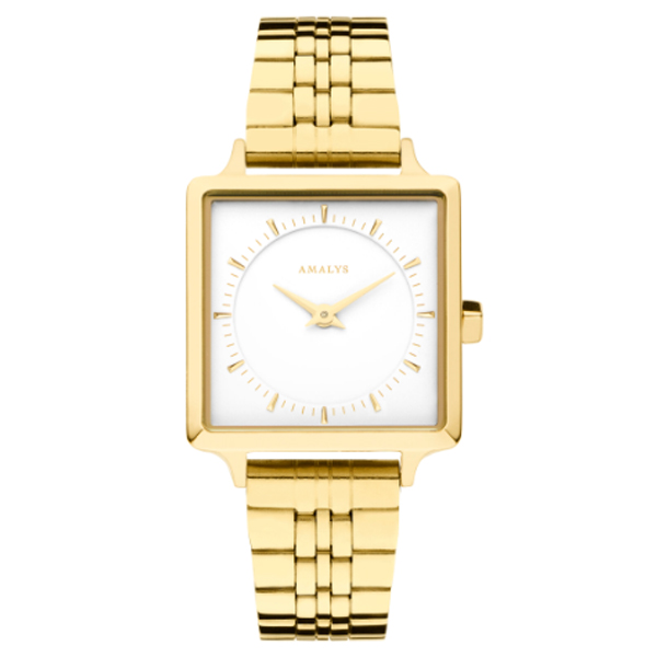 AMALYS AMW-137