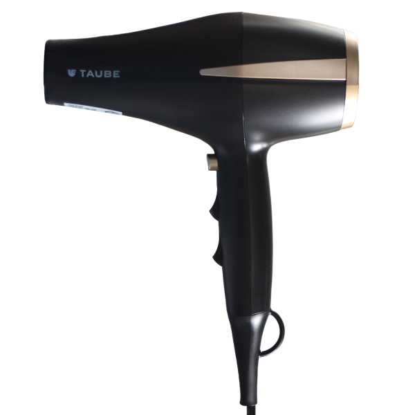 Taube HD-100