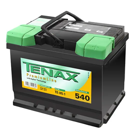TENAX 60 AH R+ (TE-H5-1)