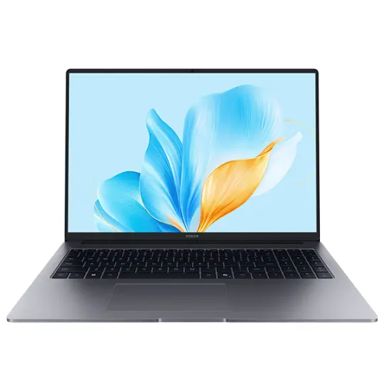 HONOR Magic Book X16 Space Gray (BRG-585) 2025