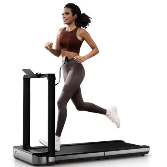 WalkingPad Kingsmith MX16 (TRMX16F) Gray