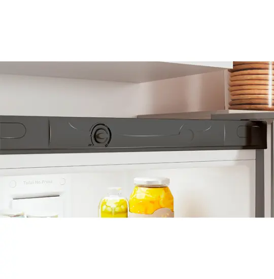 Indesit ITS 4160 G