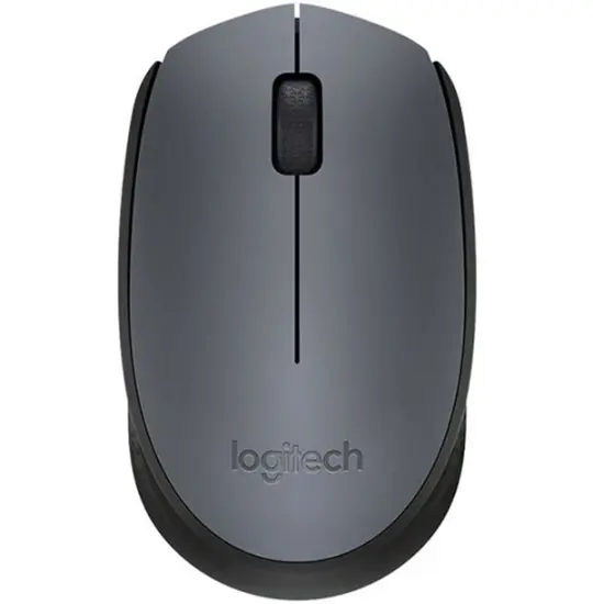 Logitech M170