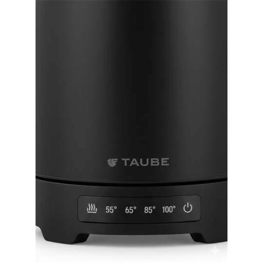 Taube TB17TBM