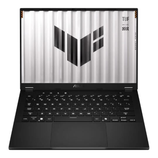Asus  Tuf Gaming  FA401UU-RG074 (90NR0JD1-M004E0)