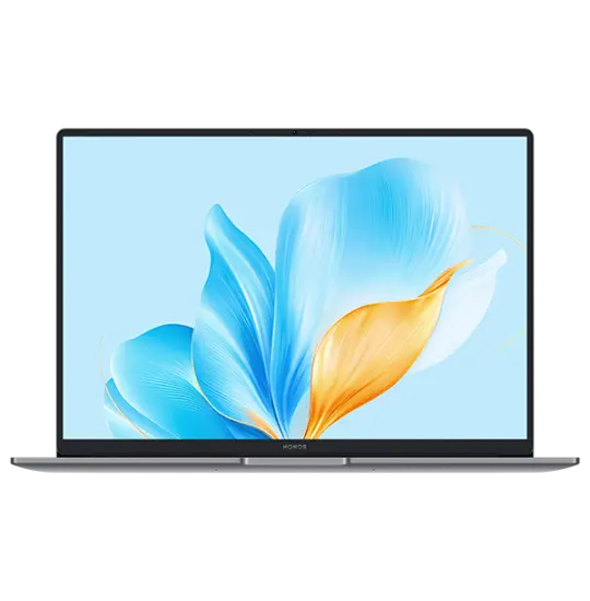 HONOR Magic Book X16 Space Gray (BRG-561) 2025