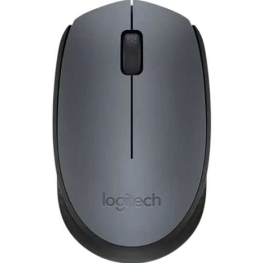 Logitech M170
