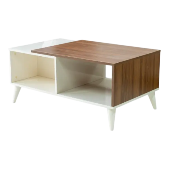 Jurnal masa SALOGLU Torino Aytaşı/Arex