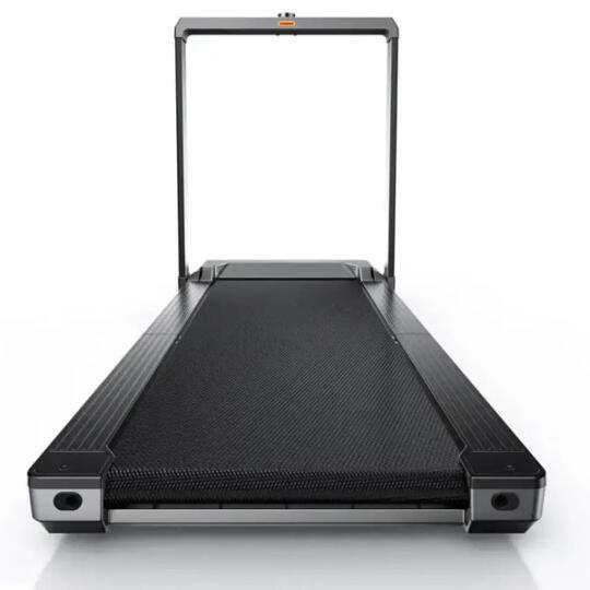 WalkingPad Kingsmith MX16 (TRMX16F) Gray