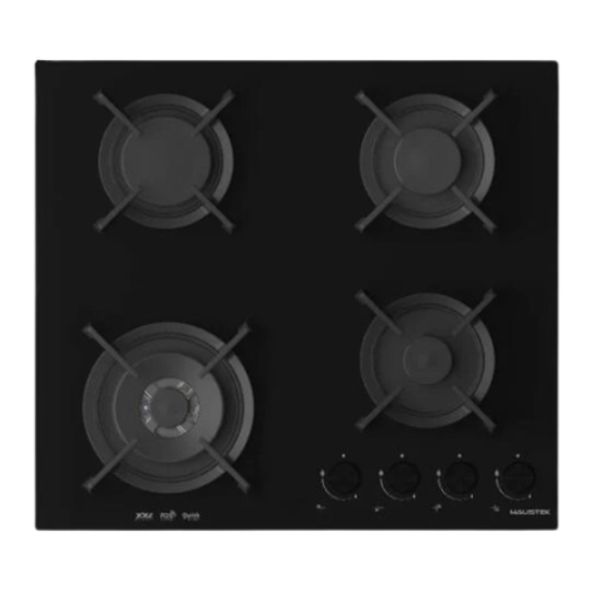 Haustek EZZO 6L3GW EBM FM SF