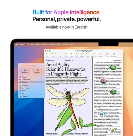 Apple MacBook Air M4 (MW1K3RU)