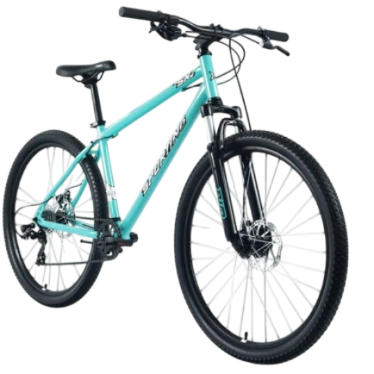 Forward Sporting SX 29 (Wheel 29/ Gear 8/ Size 21) Mint/Beige