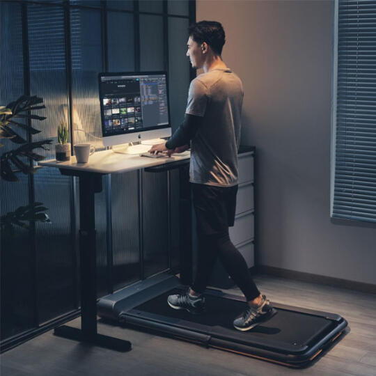 WalkingPad Kingsmith R1 Pro (TRR1F Pro) Silver