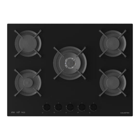 Haustek EZZO 74GW EBM FM SF