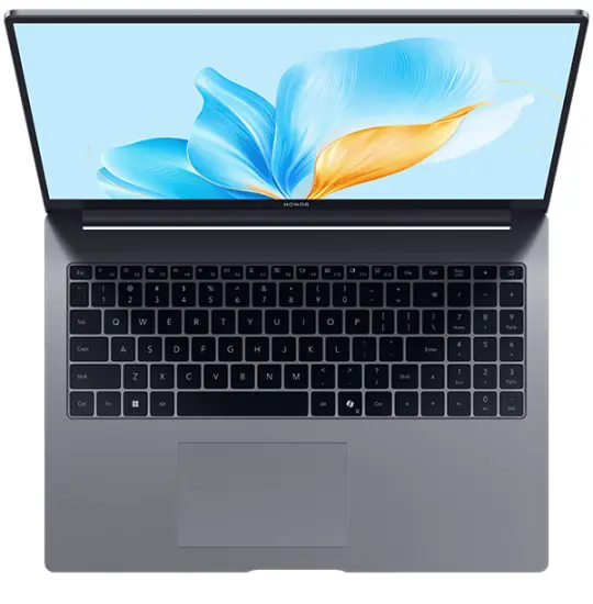 HONOR Magic Book X16 Space Gray (BRG-585) 2025