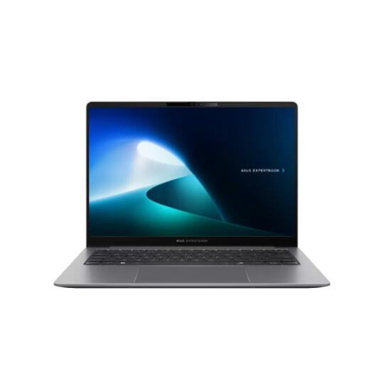 ASUS ExpertBook P5 P5405CSA-NZ0209 (90NX0861-M008B0)