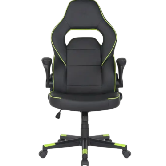 2E Gaming Chair 2E-GC-HEB-BK HEBI Black&Green