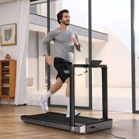 WalkingPad Kingsmith MX16 (TRMX16F) Gray