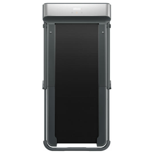 King Smith WalkingPad R1 Pro