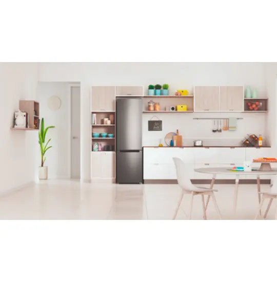 Indesit  ITS 4200 NG