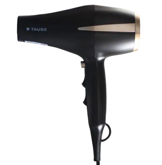 Taube HD-100