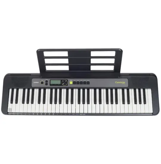 Casio LK-S250
