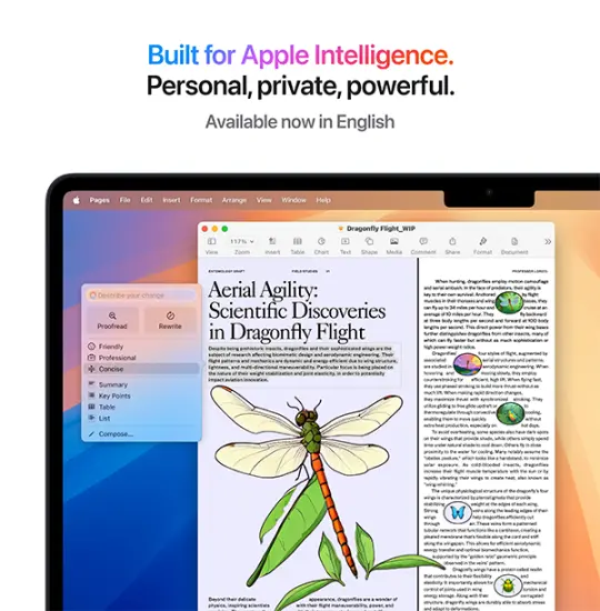 Apple MacBook Air M4 (MW1L3RU)