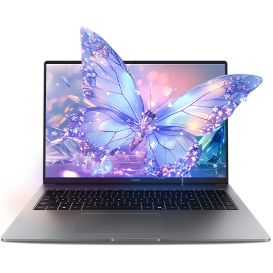 HONOR Magic Book X16 Plus 2025 32+1TB WIN11 Space Gray (BRB-X)