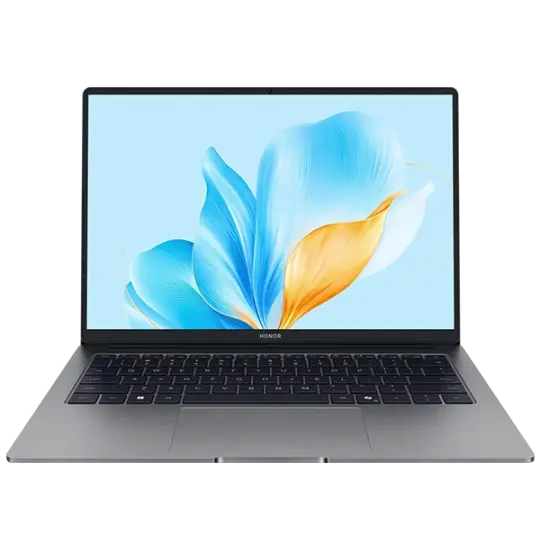 HONOR MagicBook X14 Space Gray (FRG-X) 2025