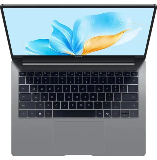 HONOR MagicBook X14 Space Gray (FRG-X) 2025