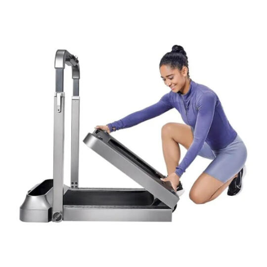 King Smith WalkingPad R2