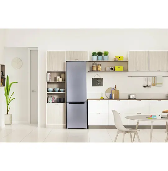 Indesit DS 4200 G