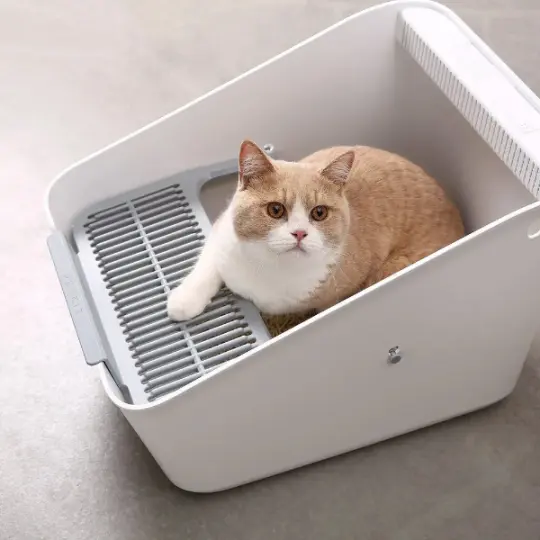 Petkit Pura Cat Detective Deodorizing Cat Litter Box (P951)