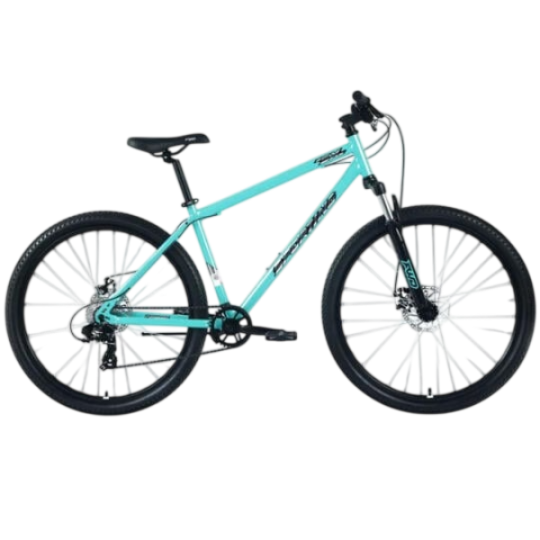 Forward Sporting SX 29 (Wheel 29/ Gear 8/ Size 19) Mint/Beige