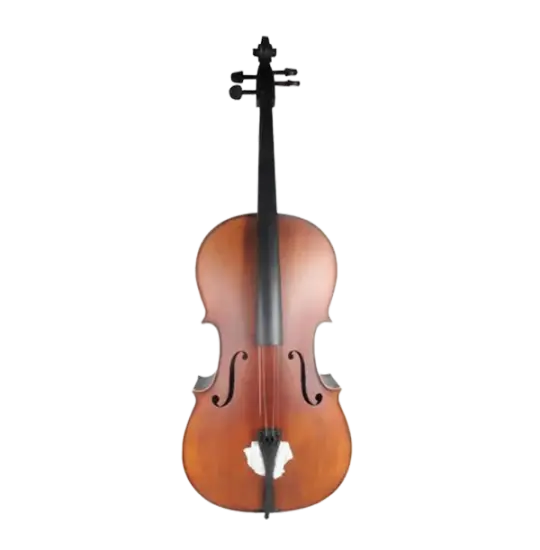 Amati CM100 4/4