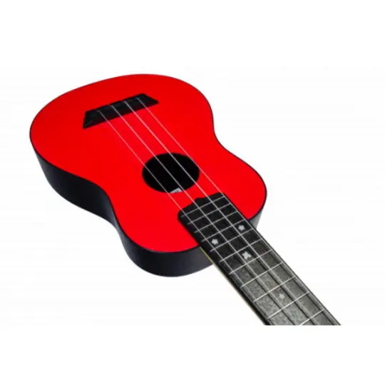 Flight TUS35 RD, Travel Soprano